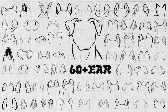 60 Dog Ears Svg Bundle