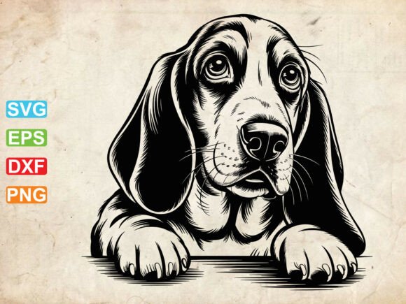 Basset Hound SVG