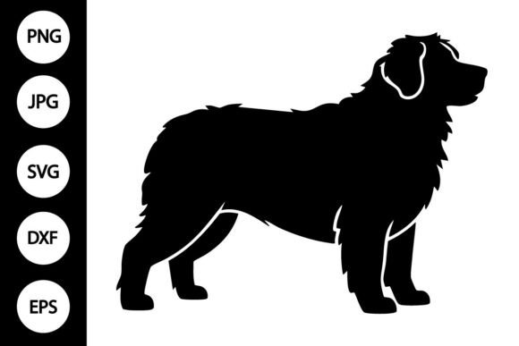 Bernese Mountain Dog SVG