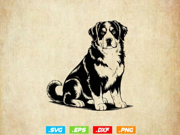 Bernese Mountain Dog SVG for Embroidery