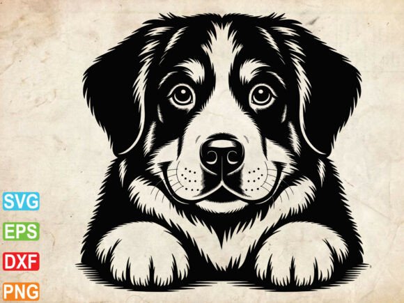 Bernese Mountain Dog SVG for Embroidery