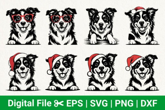 Border Collie Dog Svg for Real Projects