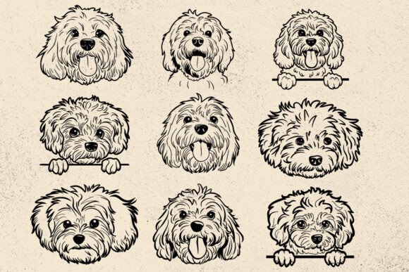 Cute Cavachon Dog Svg