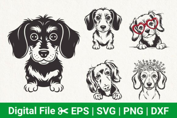 Cute Dachshund Dog Svg