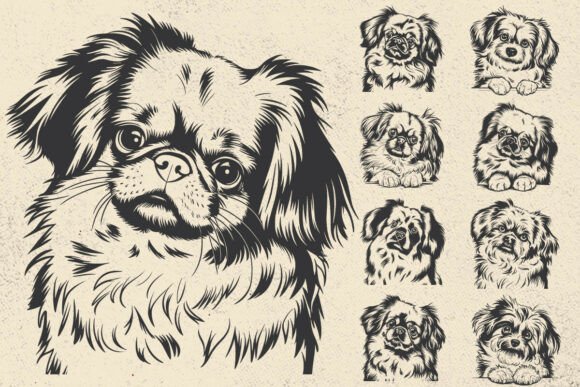 Pekingese Svg Dog Design Review