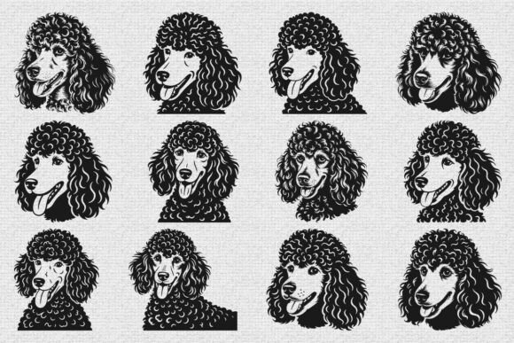 Poodle Dog SVG Bundle