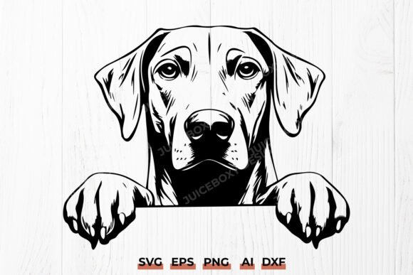 Rhodesian Ridgeback Peeking Dog SVG PNG
