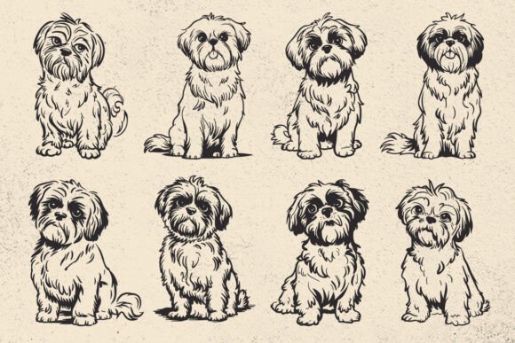 Shih Tzu Svg for Real Projects