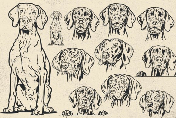 Vizsla Svg for Custom Embroidery